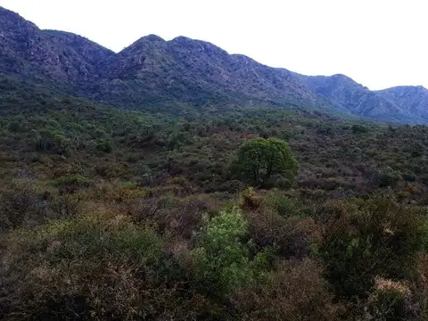 Campo en Venta de 25  ha