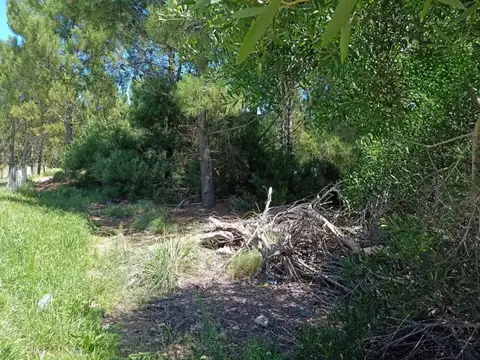 Terreno en Venta en Barrio Cerrado Costa Esmeralda, USD 108.000