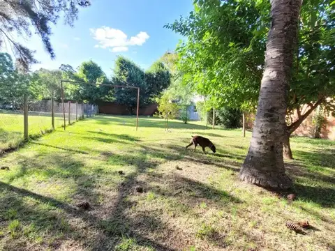 Amplio lote en venta