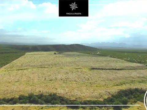 Campo en Venta Frutícola