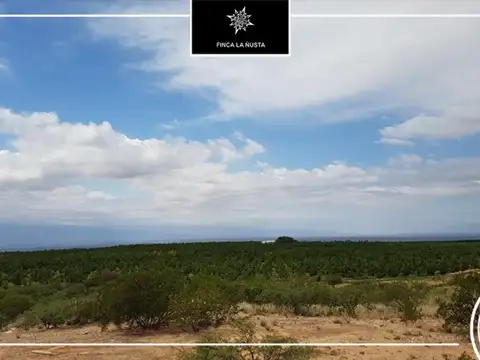 Campo en Venta de 300  ha