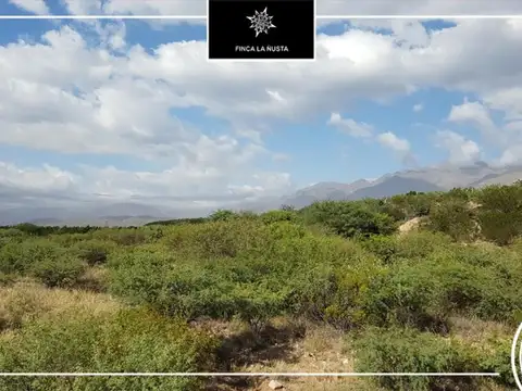 Campo en Venta de 300  ha