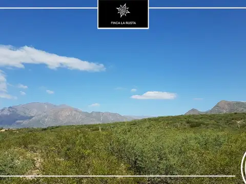 Campo en Venta Frutícola