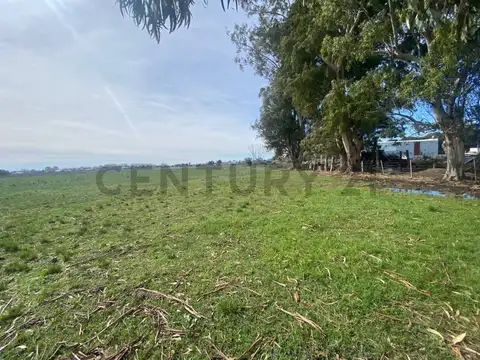 Terreno en Venta de 43814,0 m2