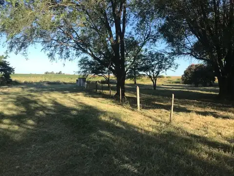 Quinta en Venta en Armstrong, USD 140.000