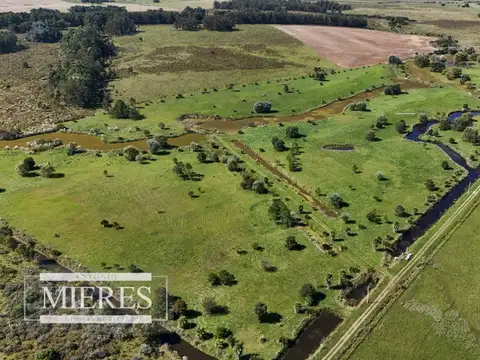 Venta de 3 Chacras de 5 hectáreas en MANANTIALES