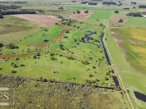 Venta de 3 Chacras de 5 hectáreas en MANANTIALES