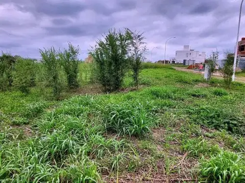 Terreno en Venta 32,41  mts Fondo