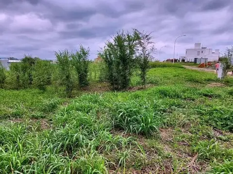 Terreno en Venta 20  mts Frente