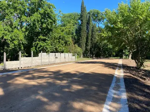 Lisandro de la Torre 4500