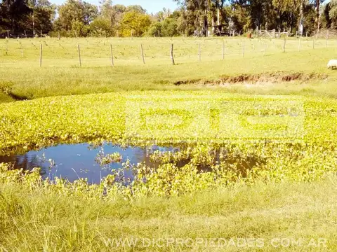 Quinta en Venta con 2 cocheras