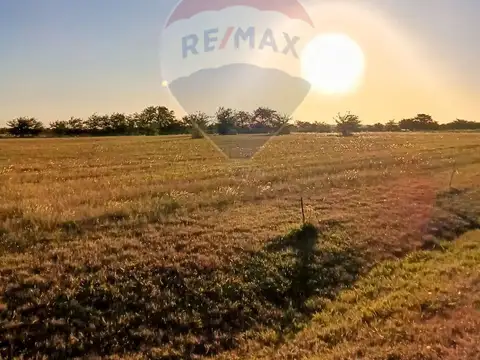 Terreno en Venta de 14603,0 m2