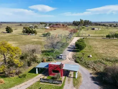 VENTA - LOTE 14.603 m² - CHACRAS DE OLIVIA, ZÁRATE