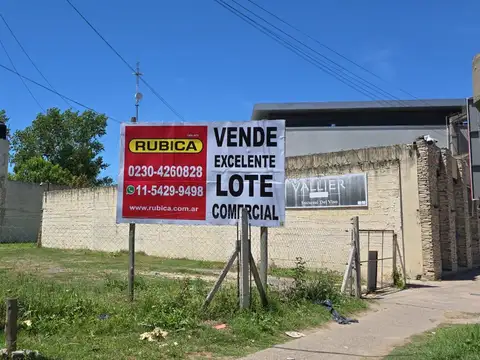 Las Camelias y Las Glicinas