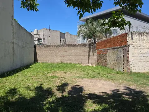 Las Camelias y Las Glicinas