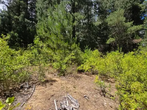 Terreno en Venta de 9451,0 m2