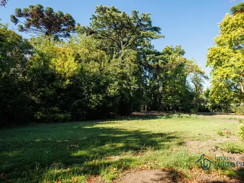 Terreno en Venta de 9984,0 m2