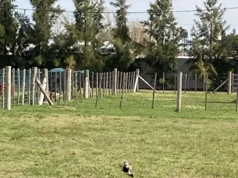 Terreno en Venta 41  mts Frente