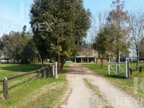 Campo en Venta en Lisandro Olmos Etcheverry, Partido de La Plata