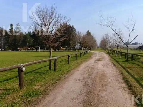 Campo en venta de 6 hectáreas en Olmos
