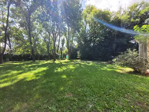 Los Platanos al 2500