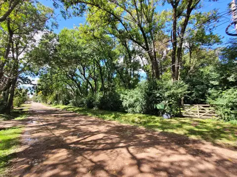 Terreno en Venta 41  mts Fondo