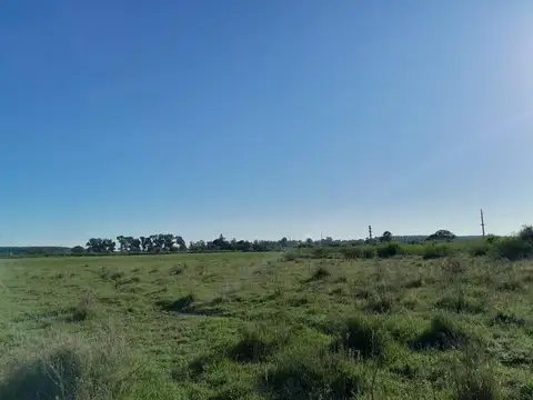 VENDO CAMPO MUY CERCA DE LA CIUDAD DE ESQUINA Y SOBRE RUTA 