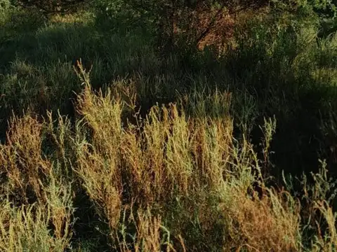 Ruta 12 acceso norte