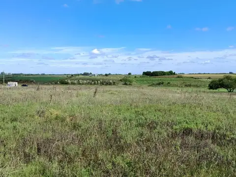 VENTA DE CAMPO 4 HECTAREAS CON TAJAMAR RUTA 75