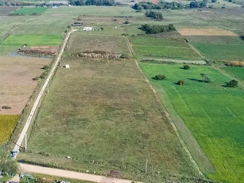 VENTA DE CAMPO 4 HECTAREAS CON TAJAMAR RUTA 75