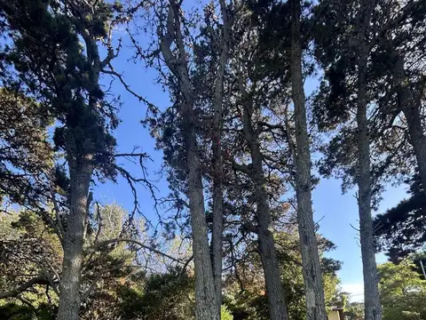 Avenida 1 e Jujuy y Madariaga