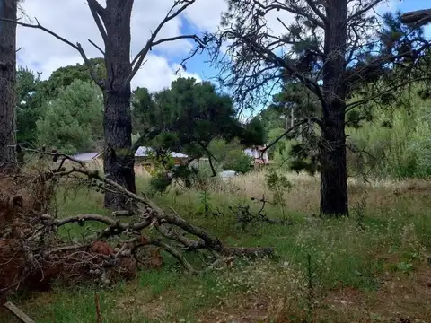Terreno en Venta de 1047,0 m2