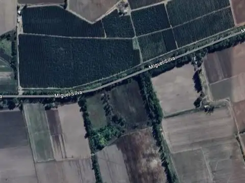 Terreno en Venta de 5000,0 m2