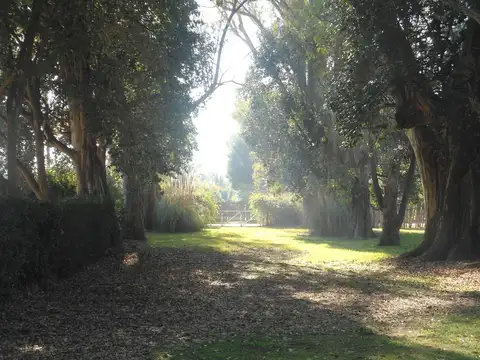 Casa en Venta de 8 dormitorios