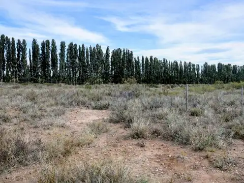 Terreno en venta de 850 m2 – Colonia San Francisco