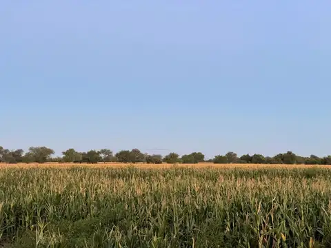 Campo en Venta en Tuclame, Cruz del Eje