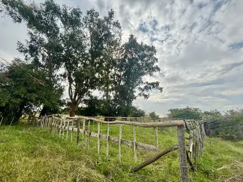 35 Has Agrícolas – Ganaderas en Magdalena