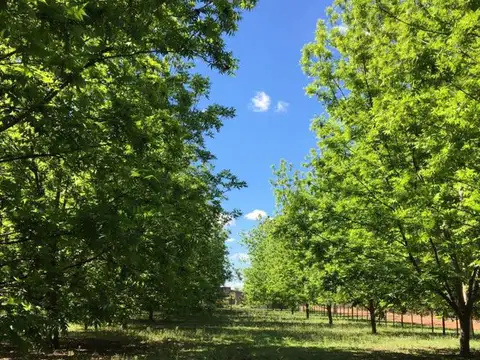 Terreno en Venta en Ibarlucea, USD 32.000