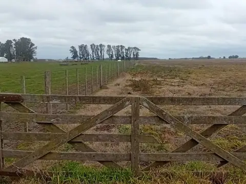 CAMPO MIXTO EN VENTA 143 HAS, RANCHOS, GENERAL PAZ
