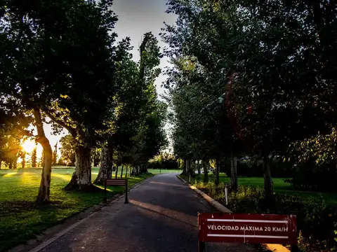 Terreno en Venta en Ibarlucea, Rosario