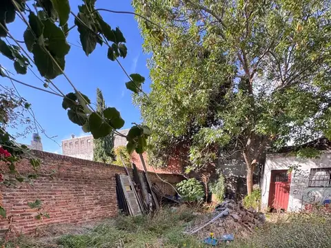 Local + terreno de 262 M2 sobre Presidente Perón