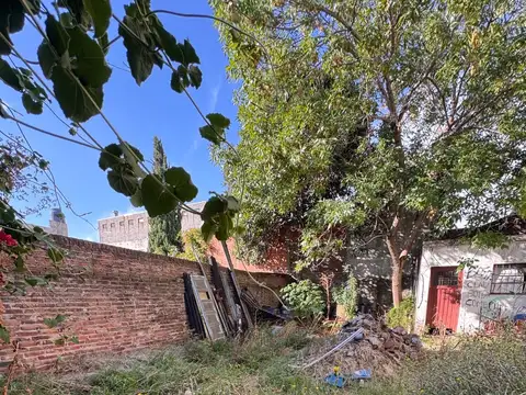 Local + terreno de 262 M2 sobre Presidente Perón