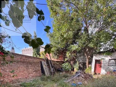 Local + terreno de 262 M2 sobre Presidente Perón