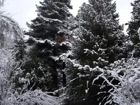 Venta 7.5 Hectáreas con construcción, ideal inversión