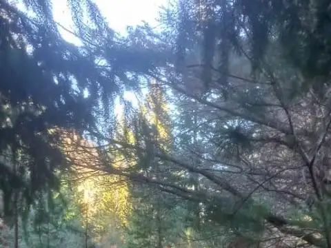 Km 1927 Ruta 40 Ruta 40