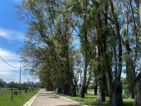 Terreno Lote  en Venta en Santa Sofía, Pilar del Este, Pilar