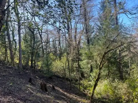 Venta terreno san martin de los andes. barrio alihuen alto