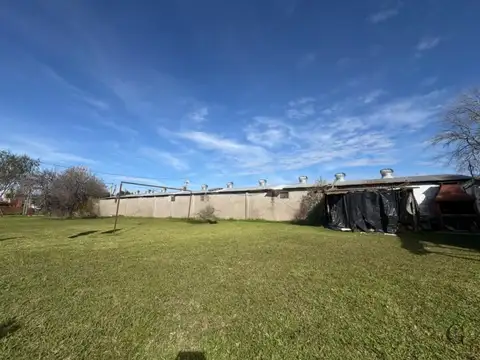 Falucho 300
