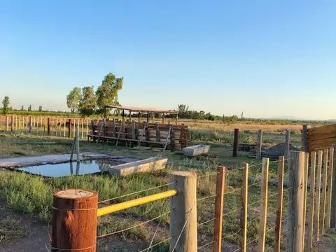 FINCA A LA VENTA EN SAN RAFAEL