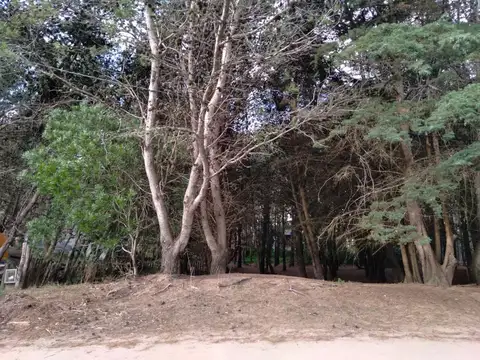 Terreno en Venta de 325,0 m2